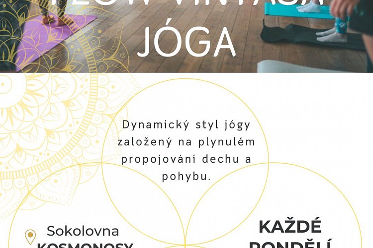 2024-12/6397/plakat-kosmonosy-flow-vinyasa-1.jpg