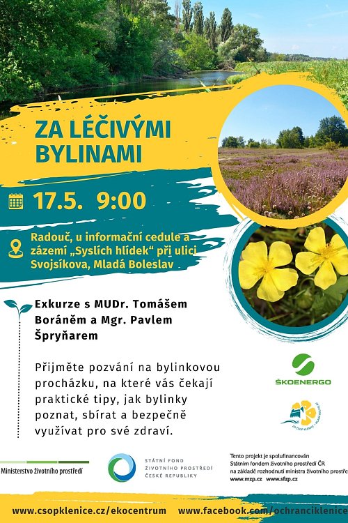 Za léčivými bylinami