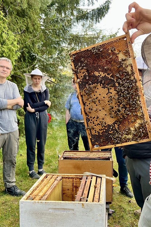 Včelařské pondělky